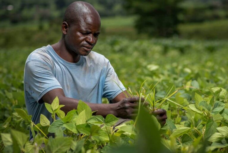 Hellam Group works closely with smallholder farmers, cooperatives, and Village Savings and Cooperative Associations (VSCAs) to improve access to markets, knowledge, and income opportunities.